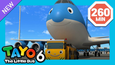 Xe bus Tayo bé nhỏ (Phần 6) - Tayo The Little Bus (Season 6)